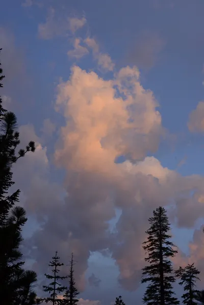 DSC_3036 (Large).JPG